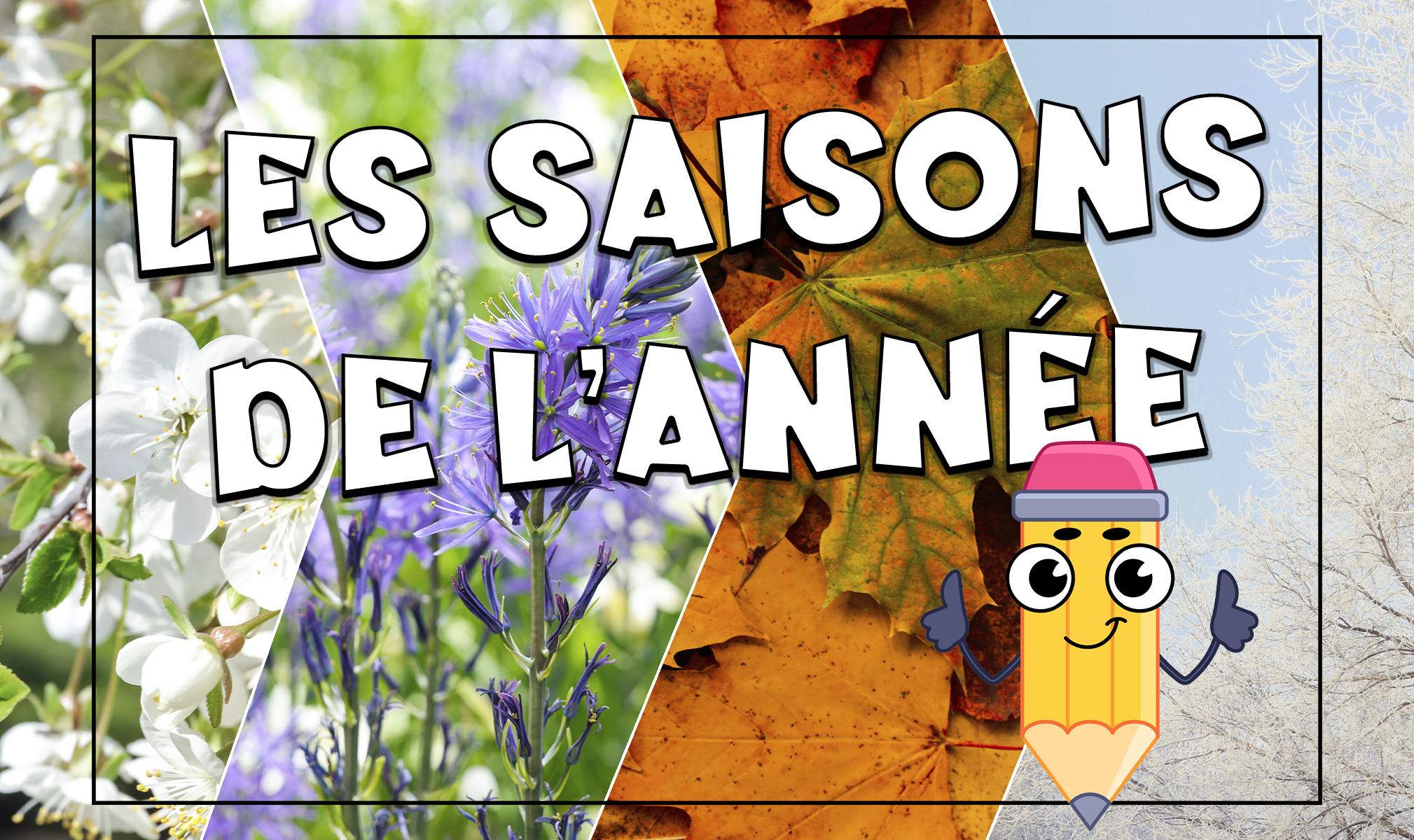 Las estaciones del año en francés